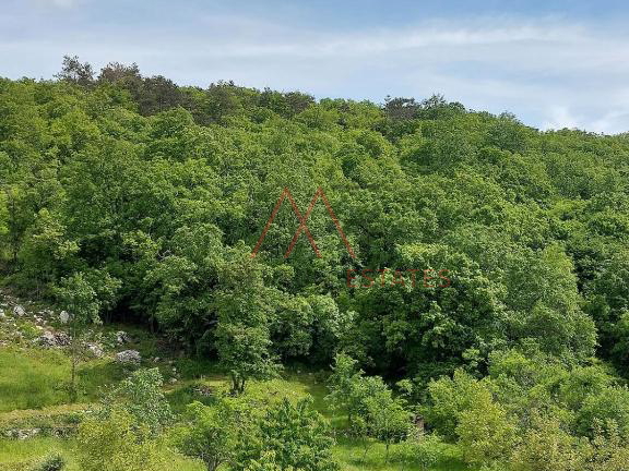 Ku&cacute;a sa 3 stana i poslovnim prostorom