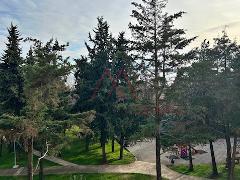 Krnjevo pet friendly 1s&plus;db