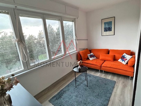 Krnjevo pet friendly 1s&plus;db