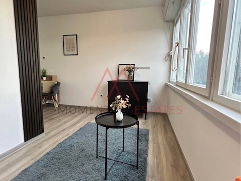 Krnjevo pet friendly 1s&plus;db