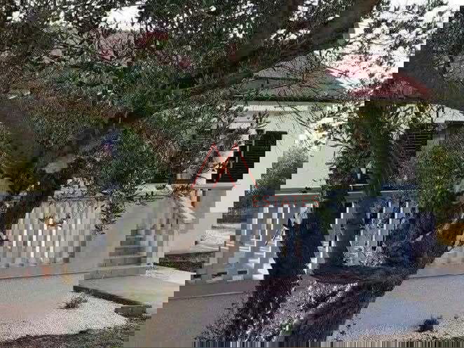 Otok Ugljan&comma; ku&cacute;a za najam