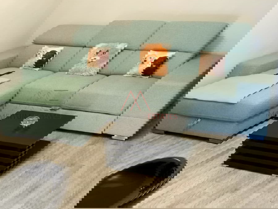 Rasto&ccaron;ine&comma; 2s&plus;db pogled more