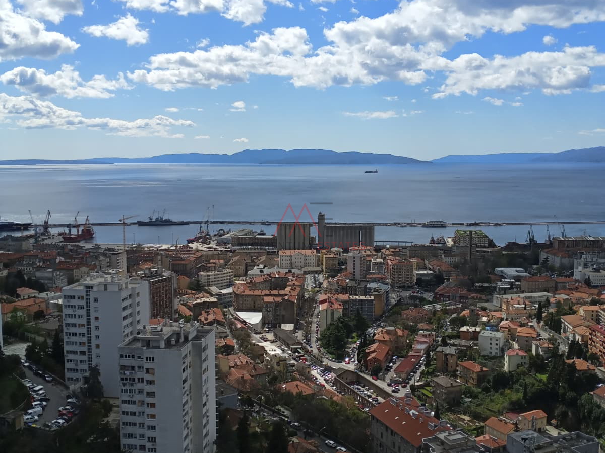 Rasto&ccaron;ine&comma; 2s&plus;db pogled more