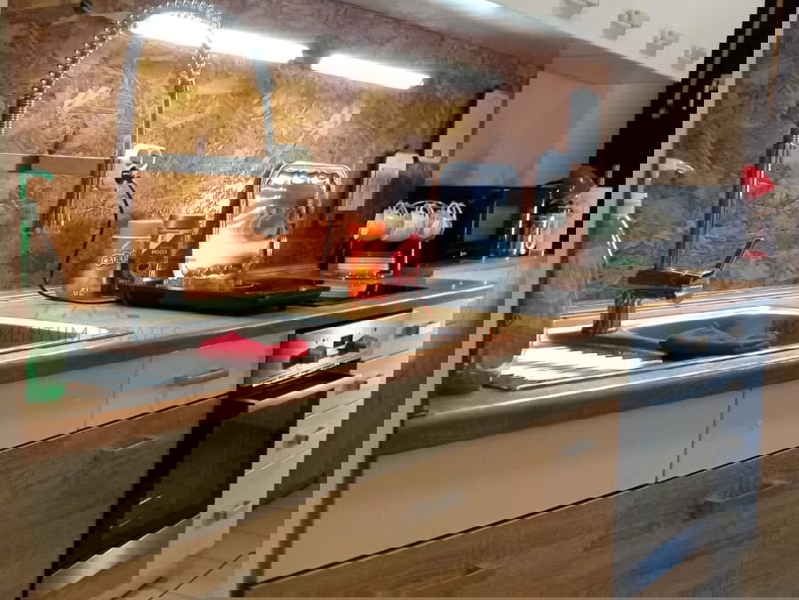 Rasto&ccaron;ine&comma; 2s&plus;db pogled more