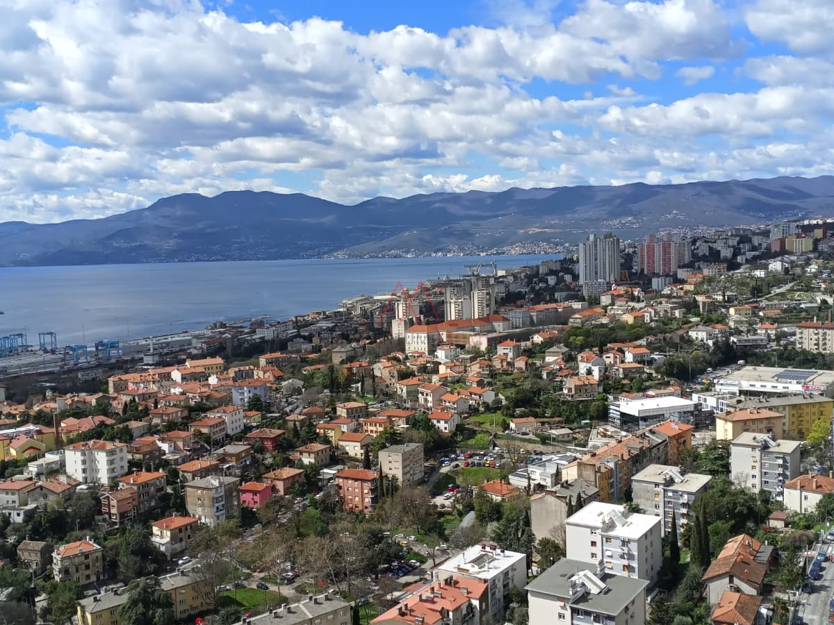 Rasto&ccaron;ine&comma; 2s&plus;db pogled more