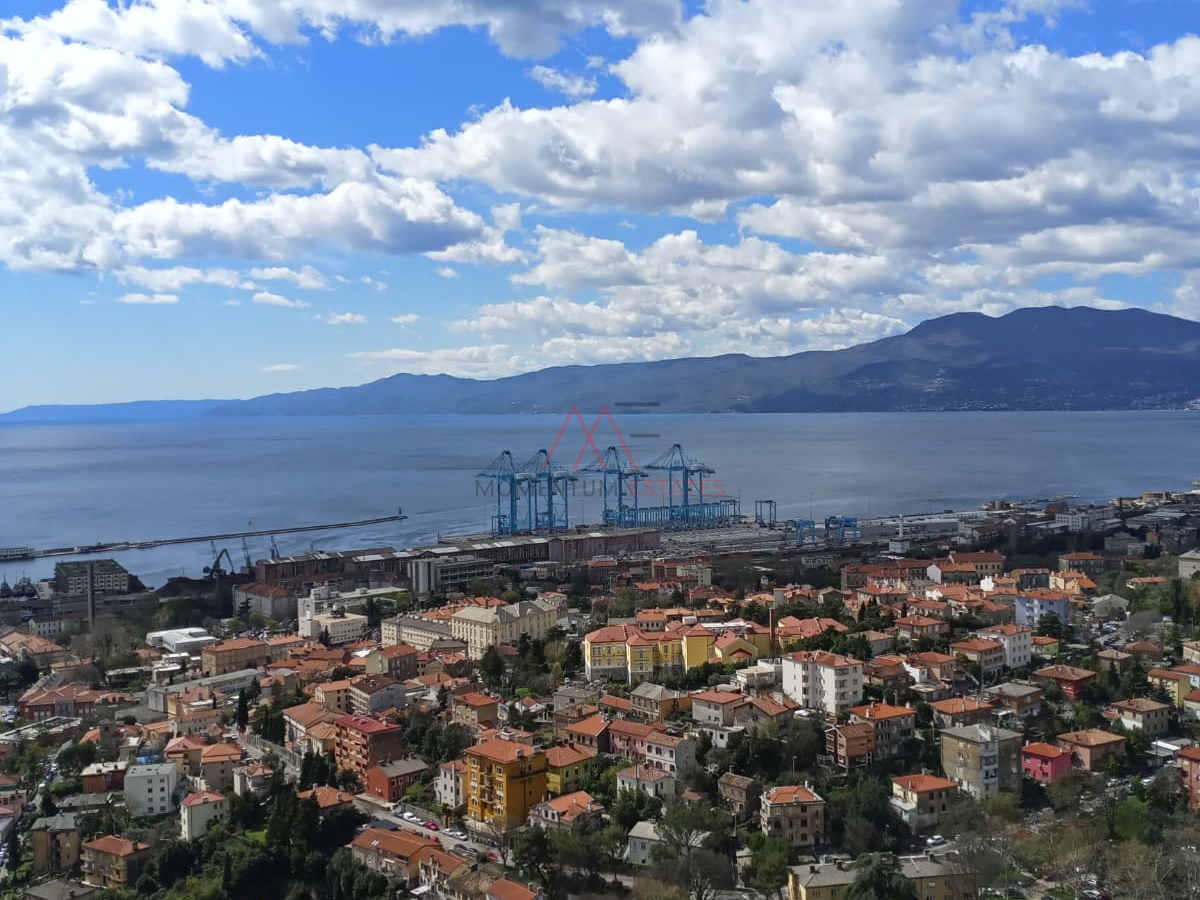 Rasto&ccaron;ine&comma; 2s&plus;db pogled more