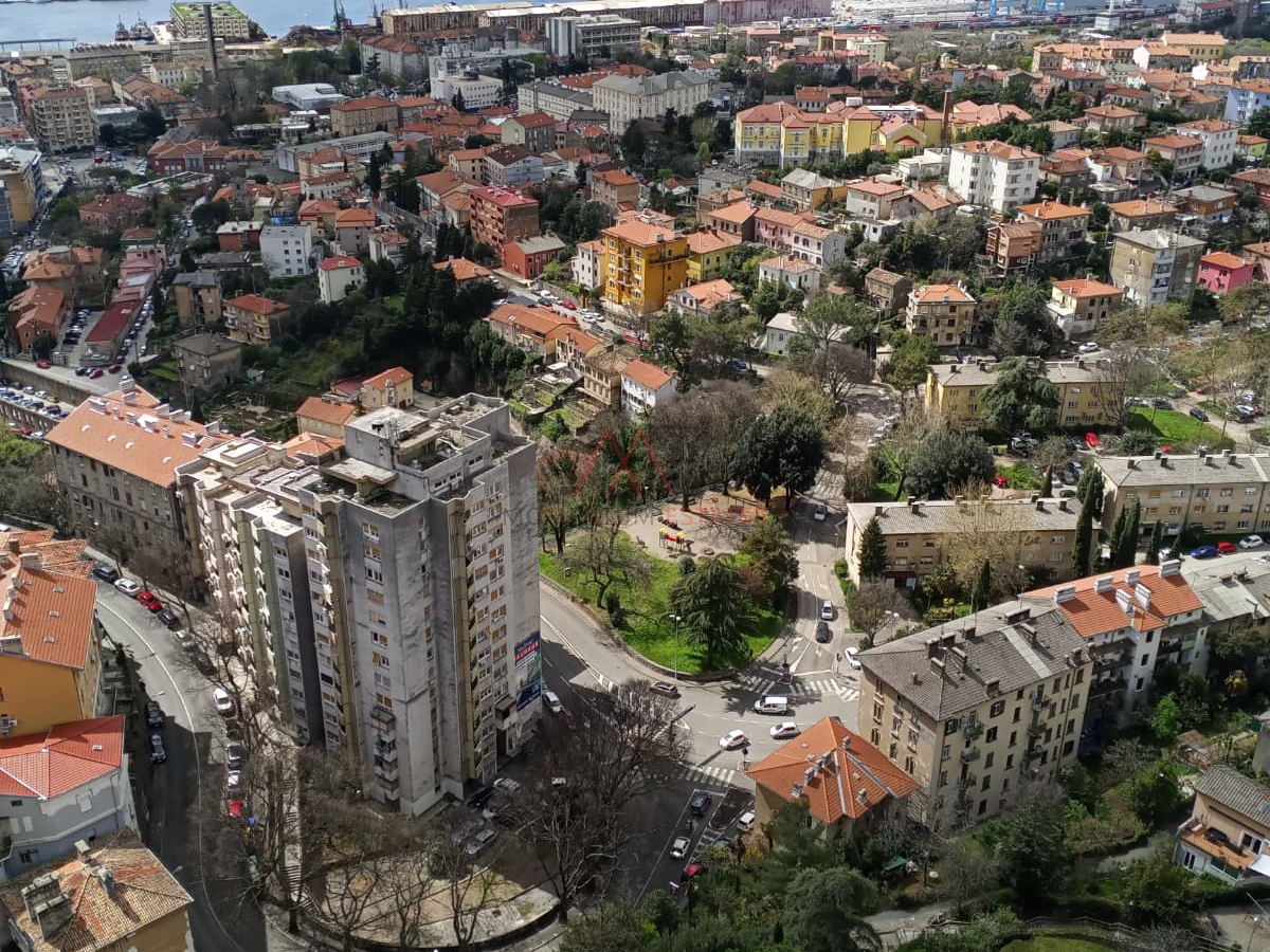 Rasto&ccaron;ine&comma; 2s&plus;db pogled more