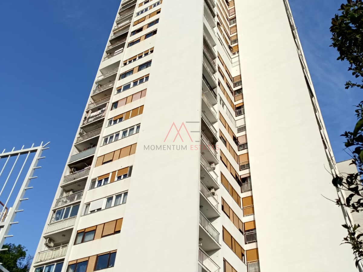 Rasto&ccaron;ine&comma; 2s&plus;db pogled more