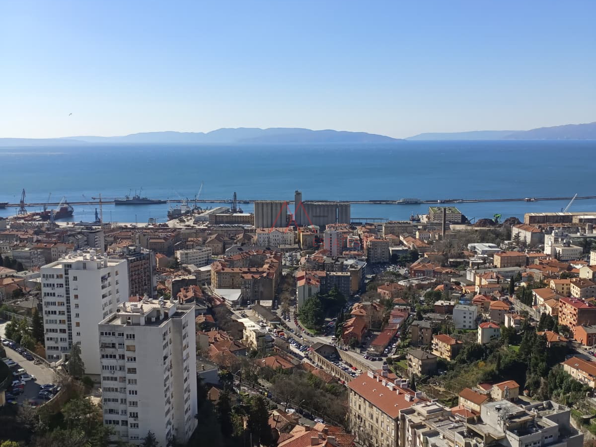 Rasto&ccaron;ine&comma; 2s&plus;db pogled more