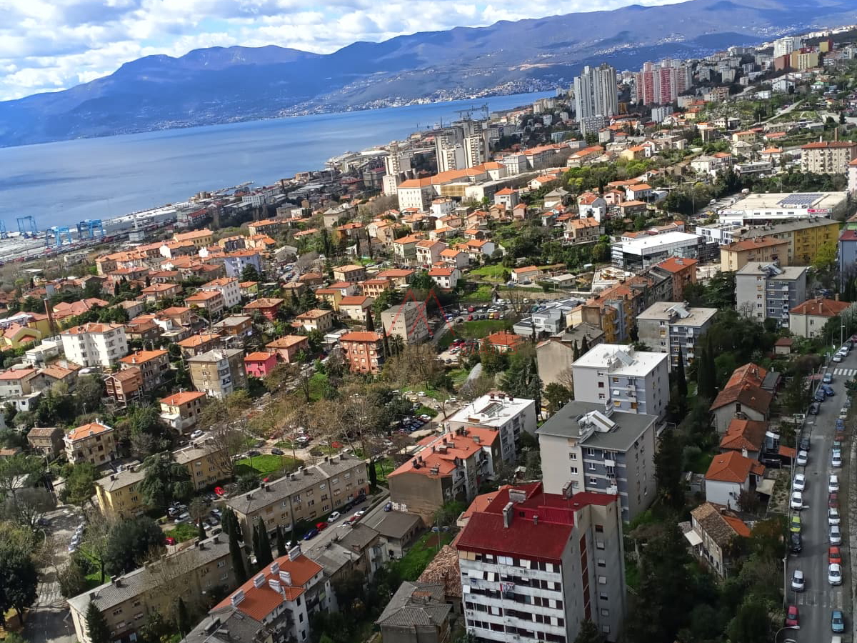 Rasto&ccaron;ine&comma; 2s&plus;db pogled more