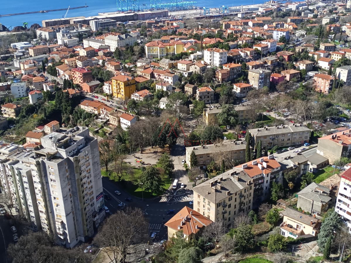 Rasto&ccaron;ine&comma; 2s&plus;db pogled more