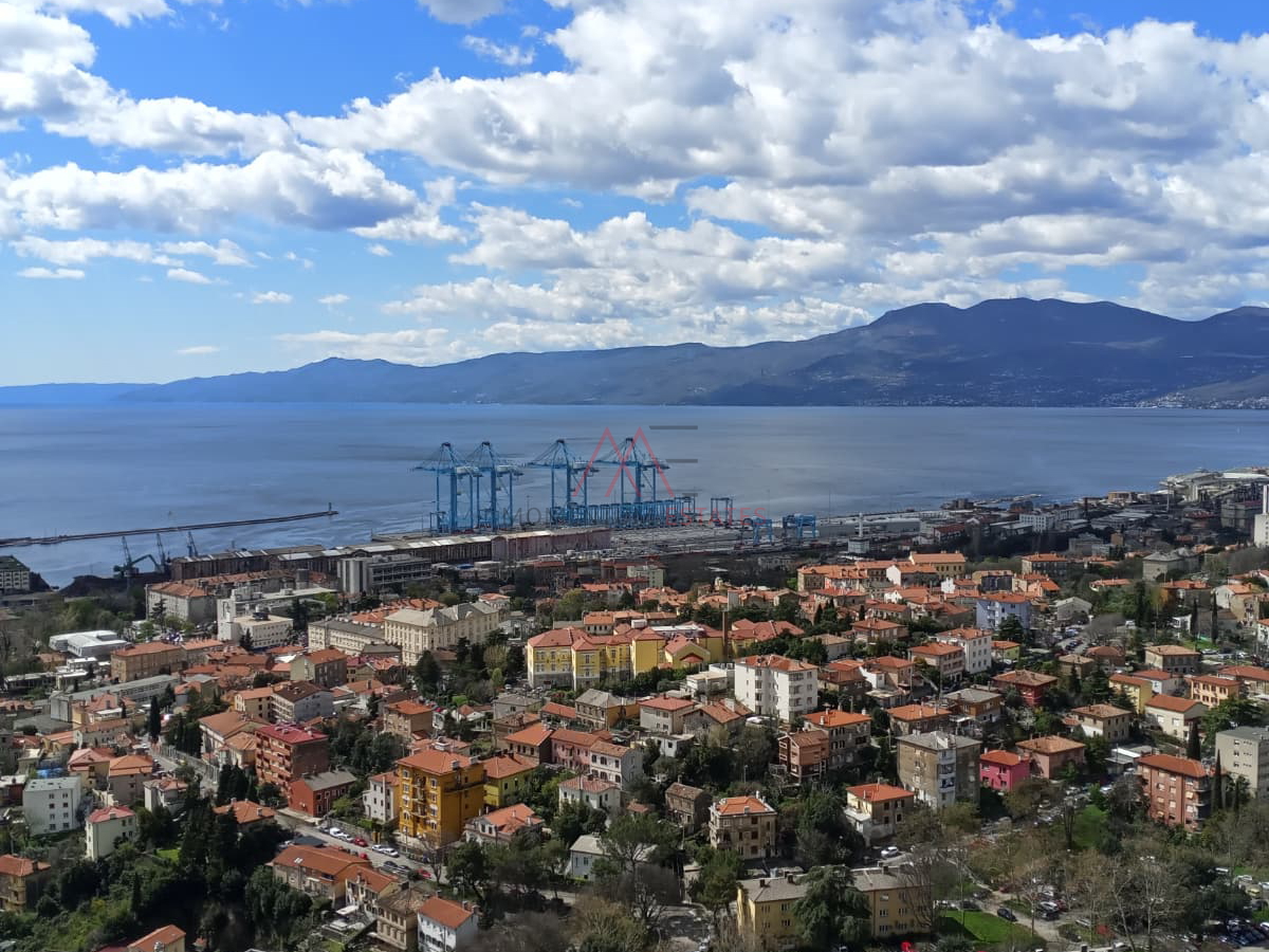 Rasto&ccaron;ine&comma; 2s&plus;db pogled more