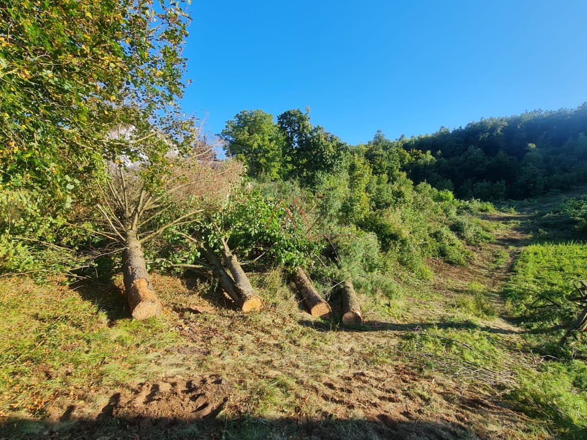 Samostoje&cacute;a ku&cacute;a Donji lapac