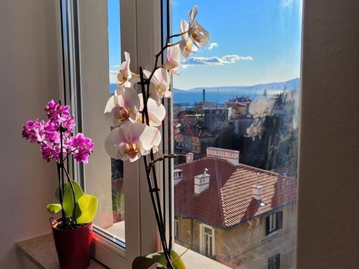 Appartamento&comma; 45 m2&comma; Vendita&comma; Rijeka - Banderovo
