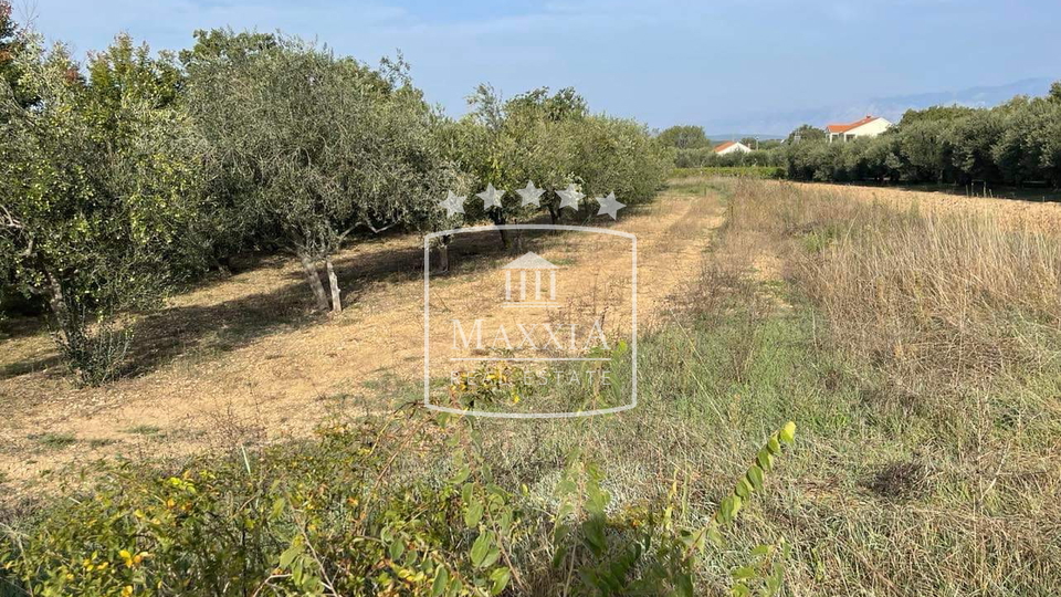 Terreno, 2162 m2, Vendita, Novigrad - Pridraga