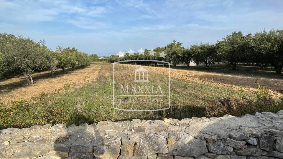 Terreno, 2162 m2, Vendita, Novigrad - Pridraga