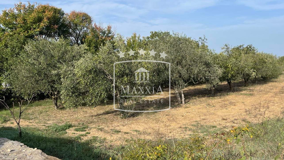 Terreno, 2162 m2, Vendita, Novigrad - Pridraga