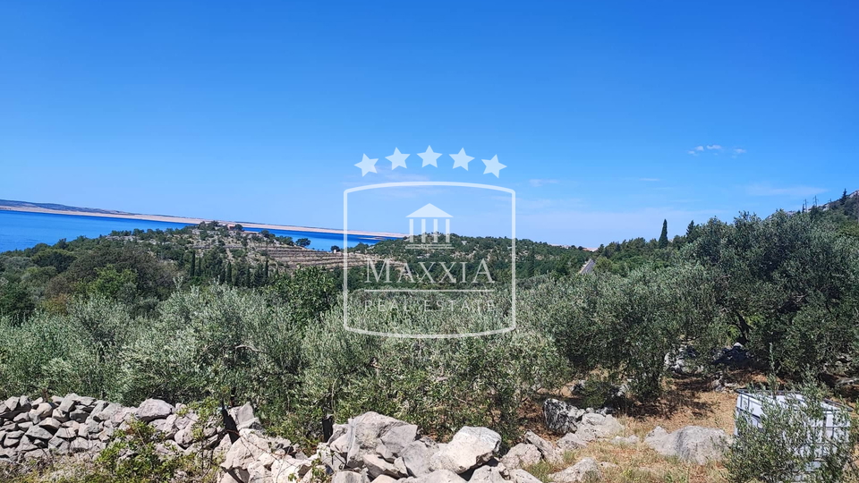 Land, 504 m2, For Sale, Starigrad