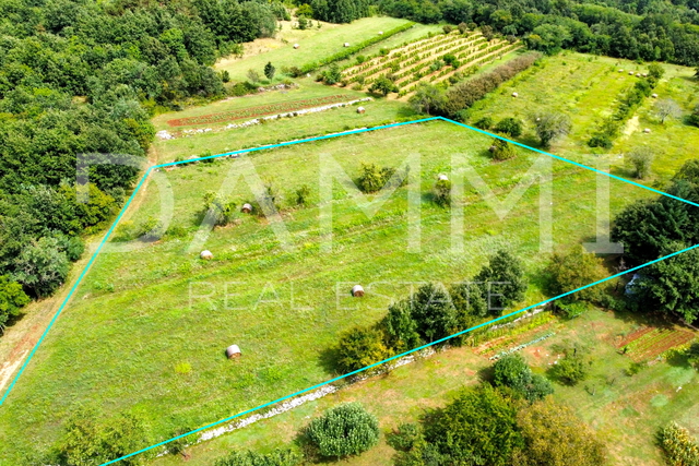 ZENTRALISTRIEN - Großes Baugrundstück im Herzen Istriens 7330m2