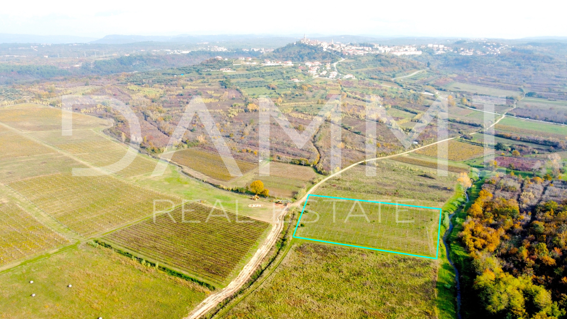 ISTRIA, BUJE - Vineyard on perfect location near Buje