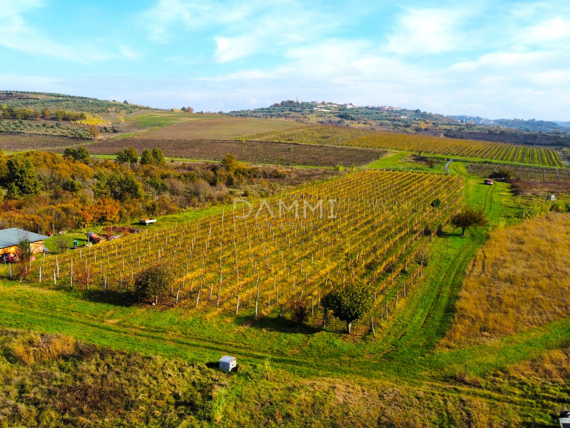 ISTRIEN, BUJE - Perfekter Weinberg in toller Lage 10720 m2