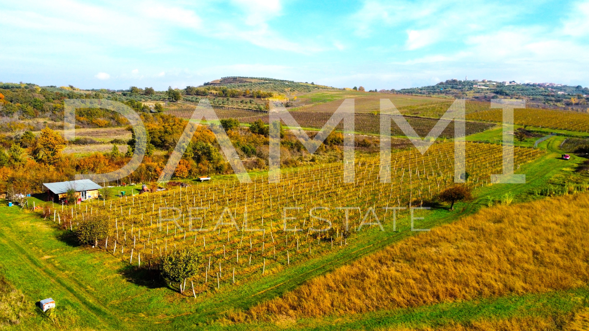 ISTRA, BUJE - Savršen vinograd na odličnoj lokaciji 10720 m2