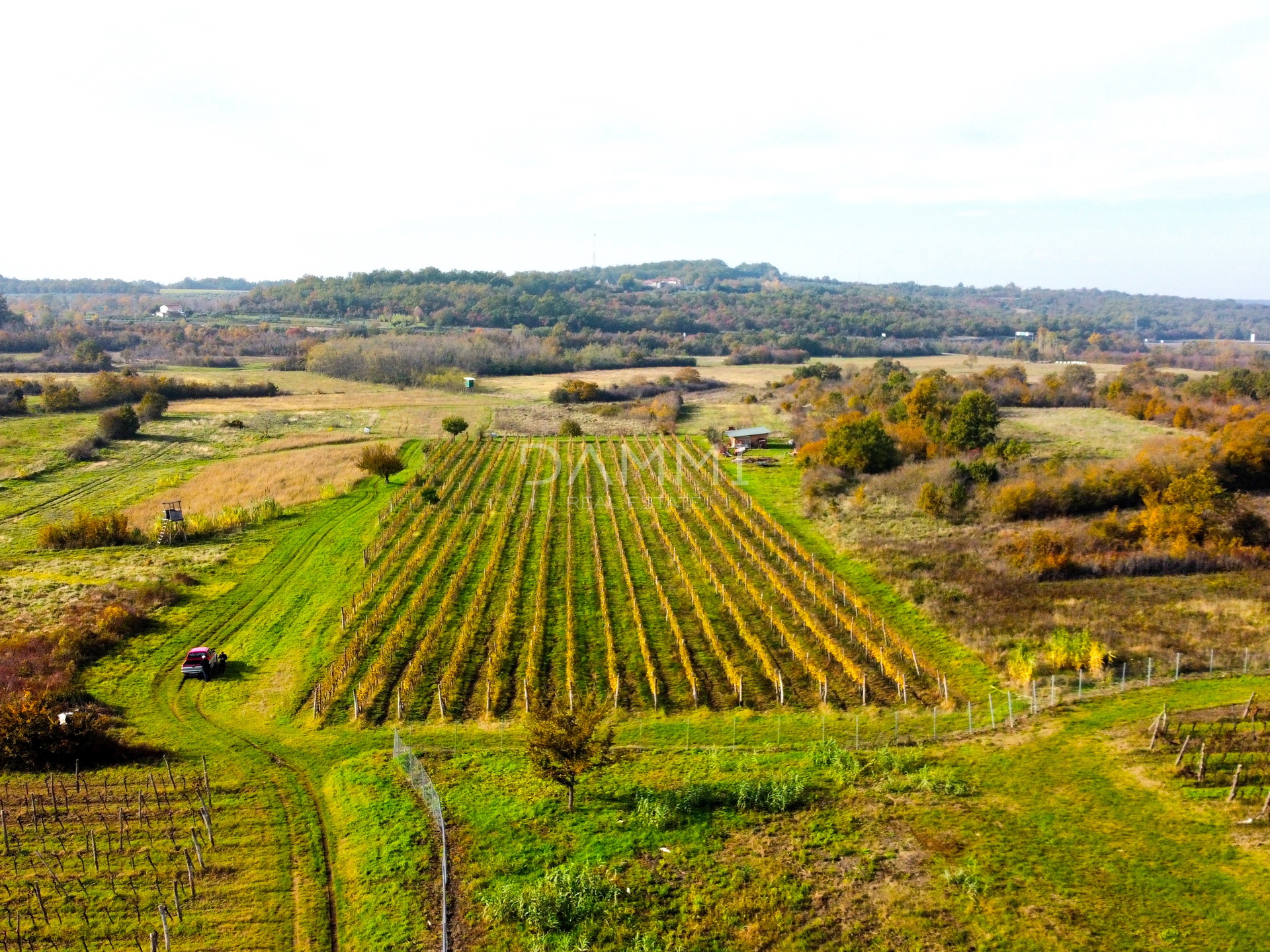 ISTRIEN, BUJE - Perfekter Weinberg in toller Lage 10720 m2