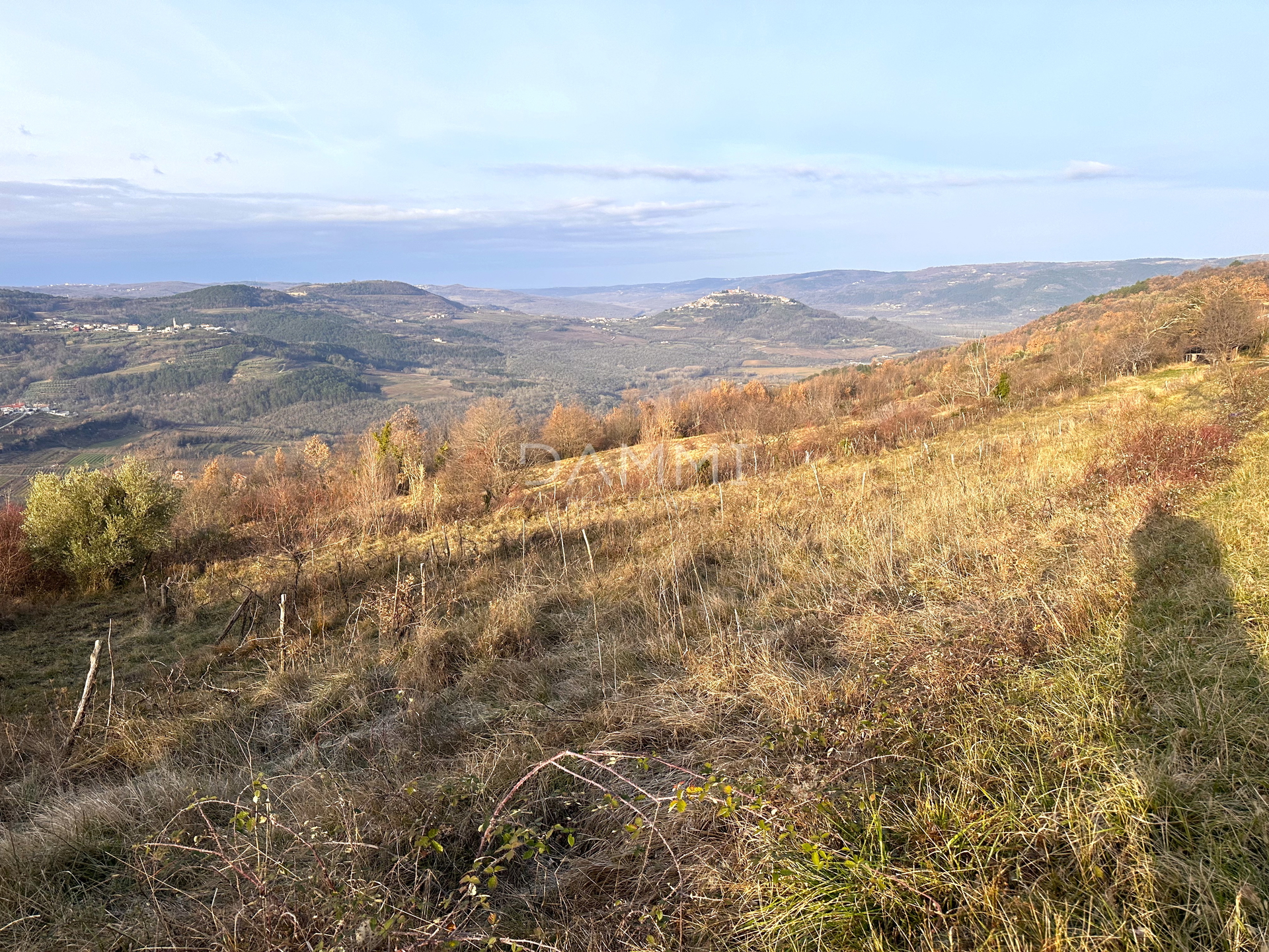 MOTOVUN, ZAMASK - Baugrundstück mit Panoramablick auf Motovun