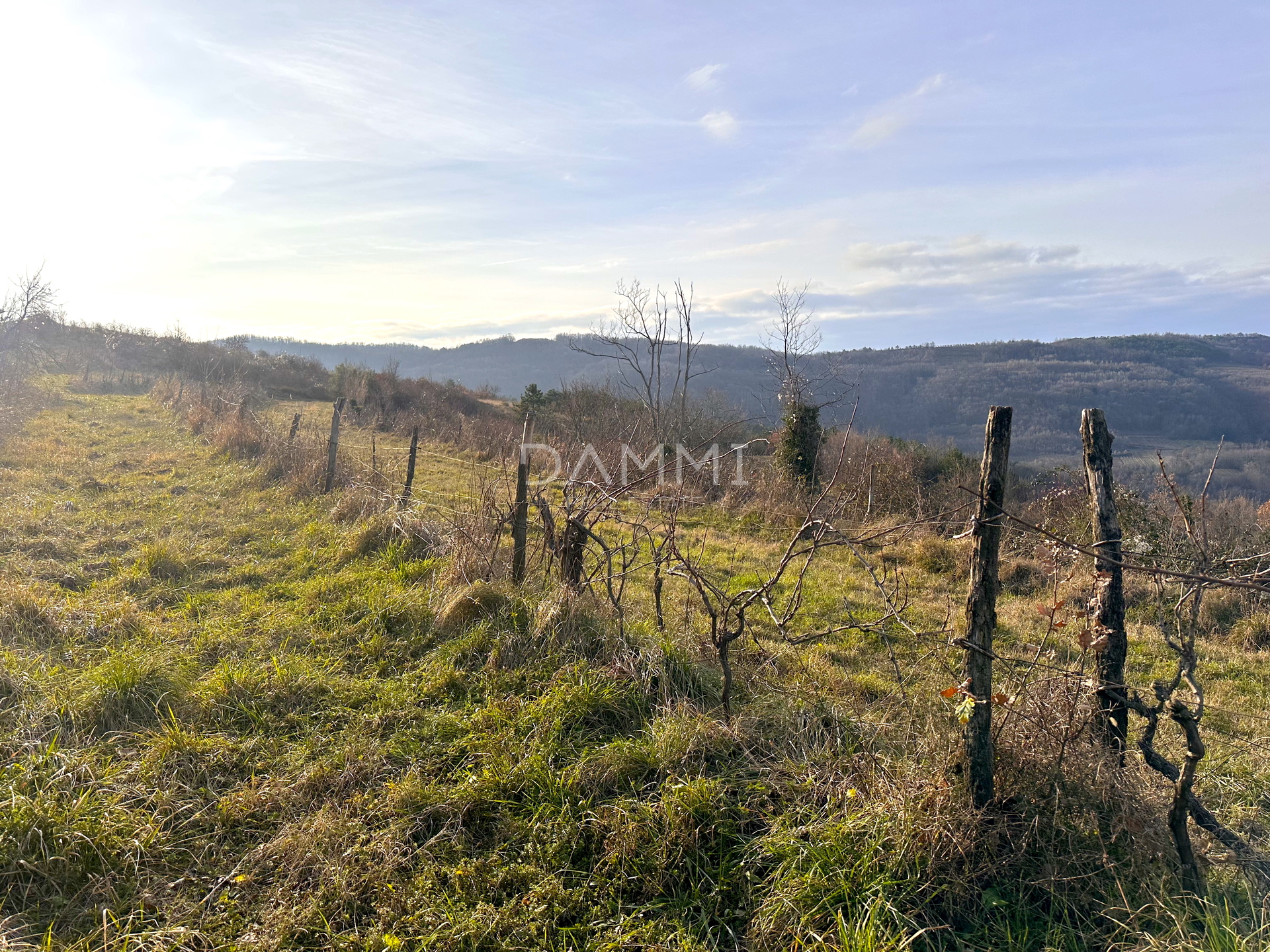 MOTOVUN, ZAMASK - Baugrundstück mit Panoramablick auf Motovun