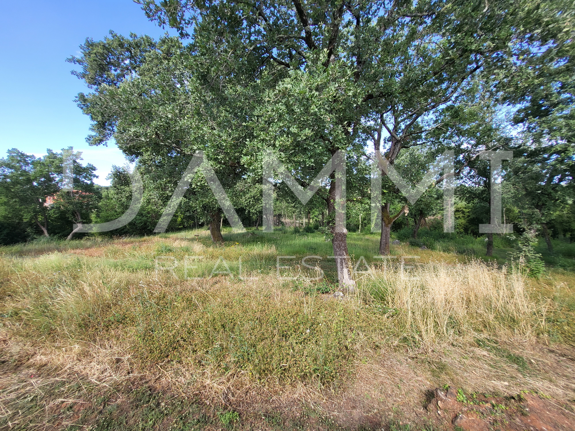 ISTRA&comma; VRSAR - Samostoje&cacute;a kamena ku&cacute;a s bazenom