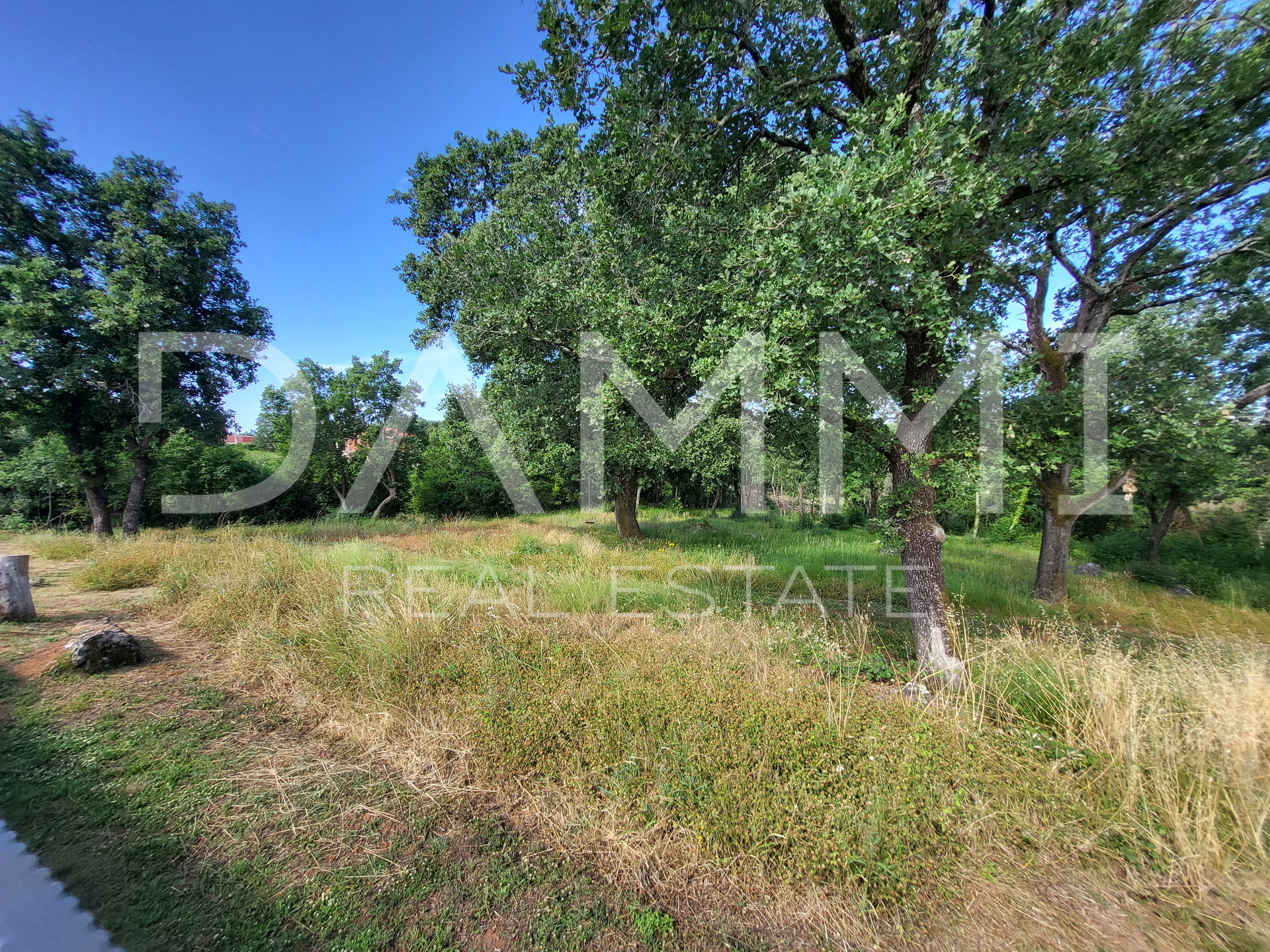 ISTRA&comma; VRSAR - Samostoje&cacute;a kamena ku&cacute;a s bazenom