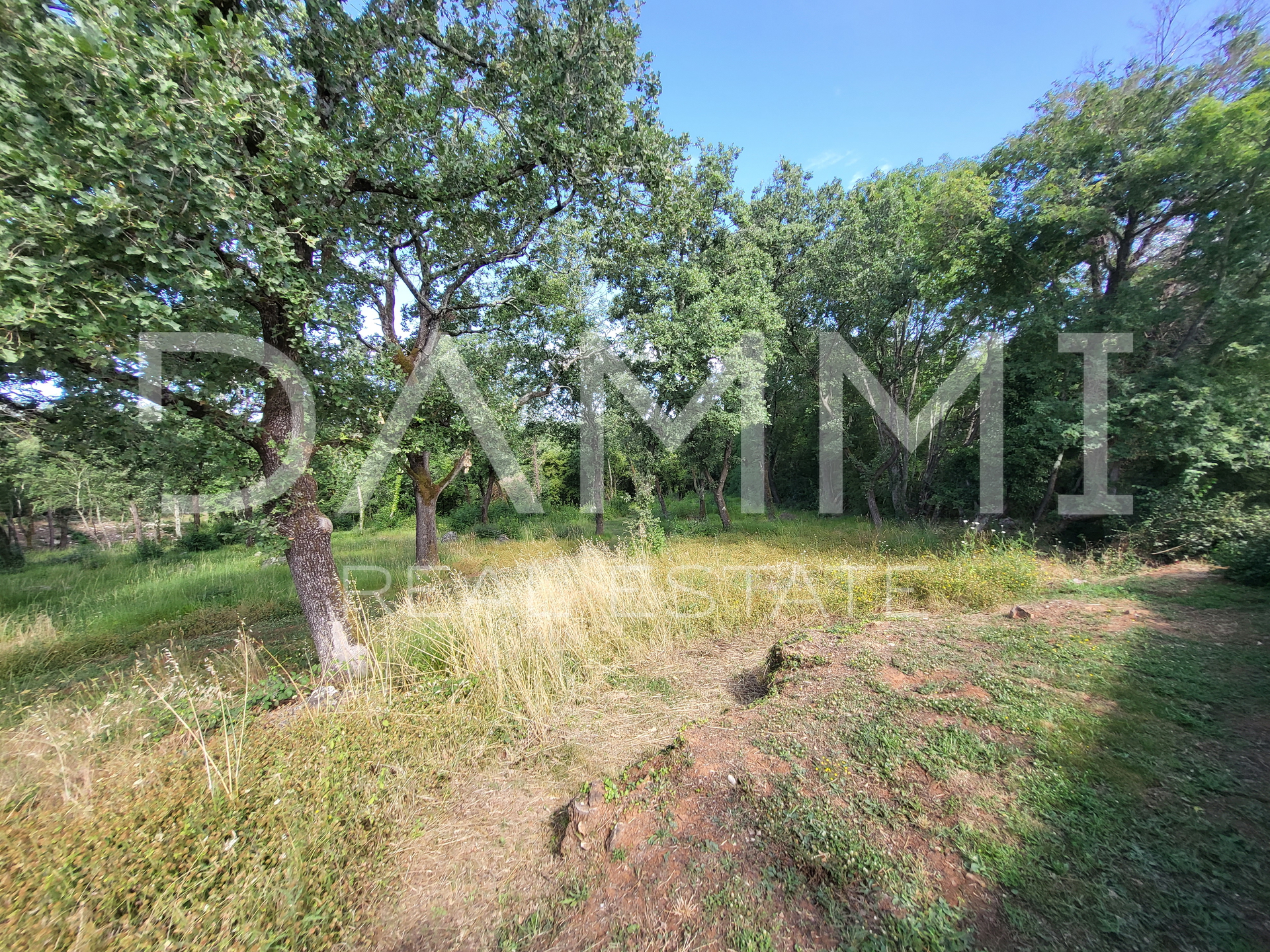 ISTRA&comma; VRSAR - Samostoje&cacute;a kamena ku&cacute;a s bazenom