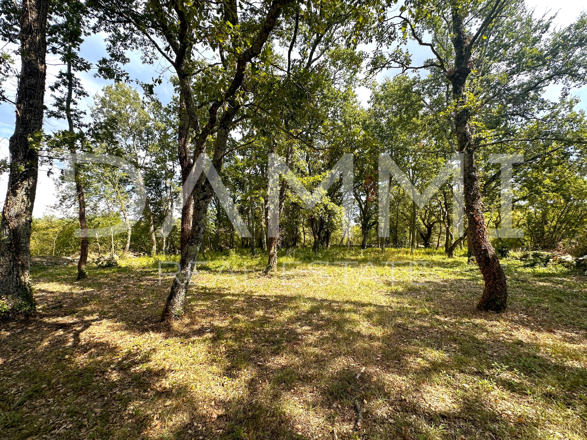 ISTRIA, TINJAN - Building land in a secluded area surrounded by greenery