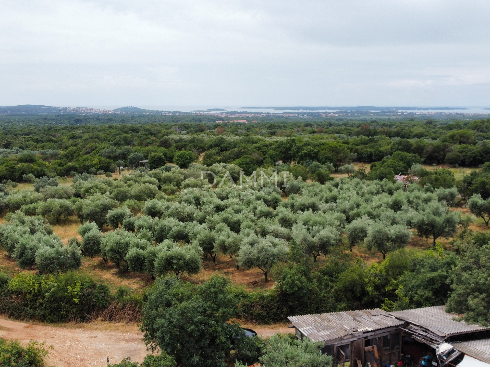 ISTRIEN, GALIŽANA-MASLINIK 2082m2 AM RAND DER URBANISIERUNG