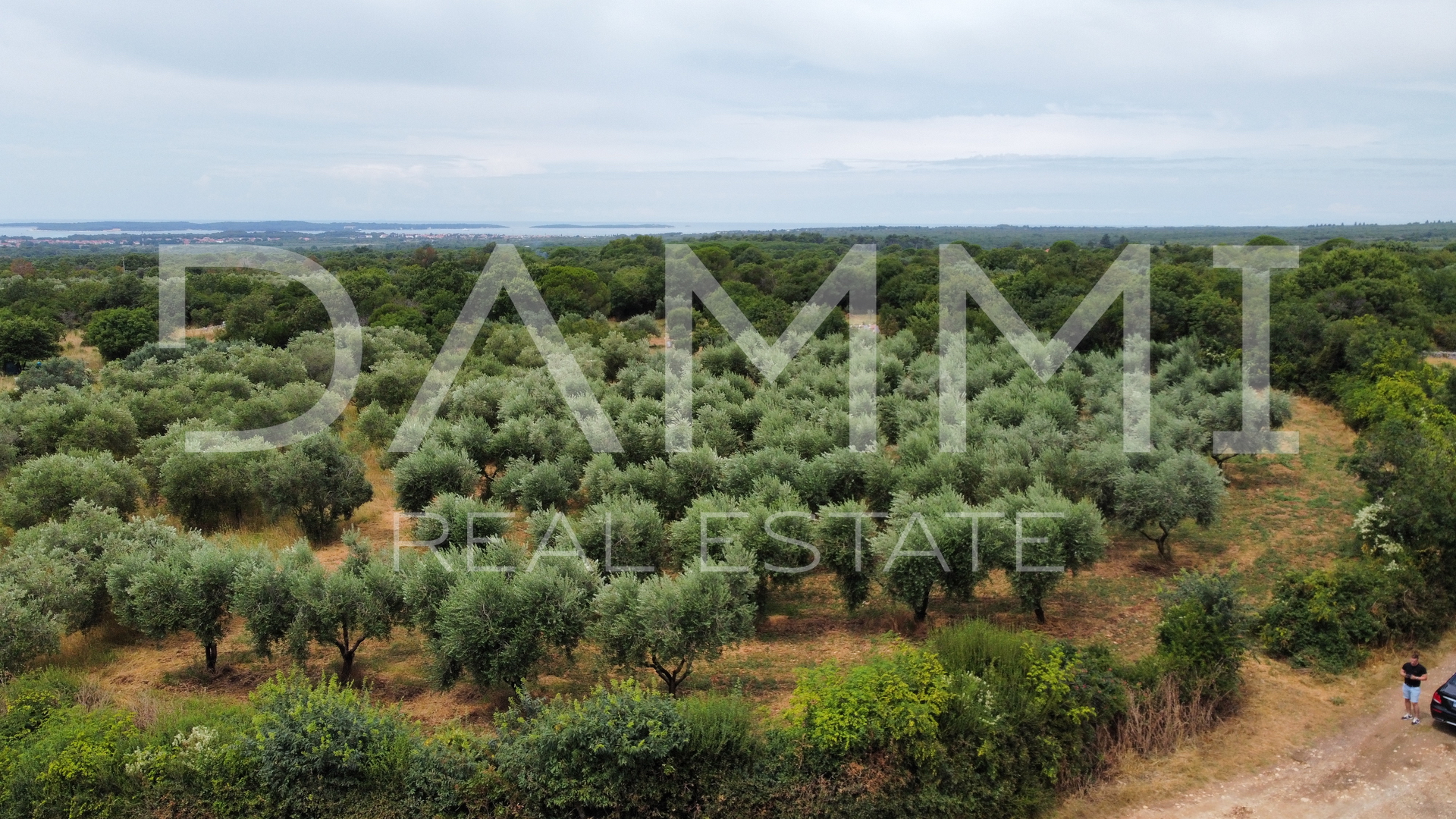 ISTRIA, GALIŽANA- MASLINIK 2082m2 ON THE EDGE OF URBANIZATION