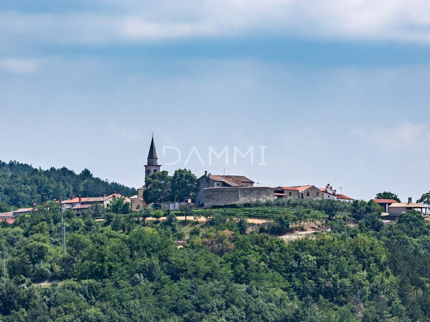 ISTRIEN, DRAGUĆ - ATTRAKTIVE VILLA IN SEKUNDÄRBLICK MIT UNBERÜHRTER NATURBLICK