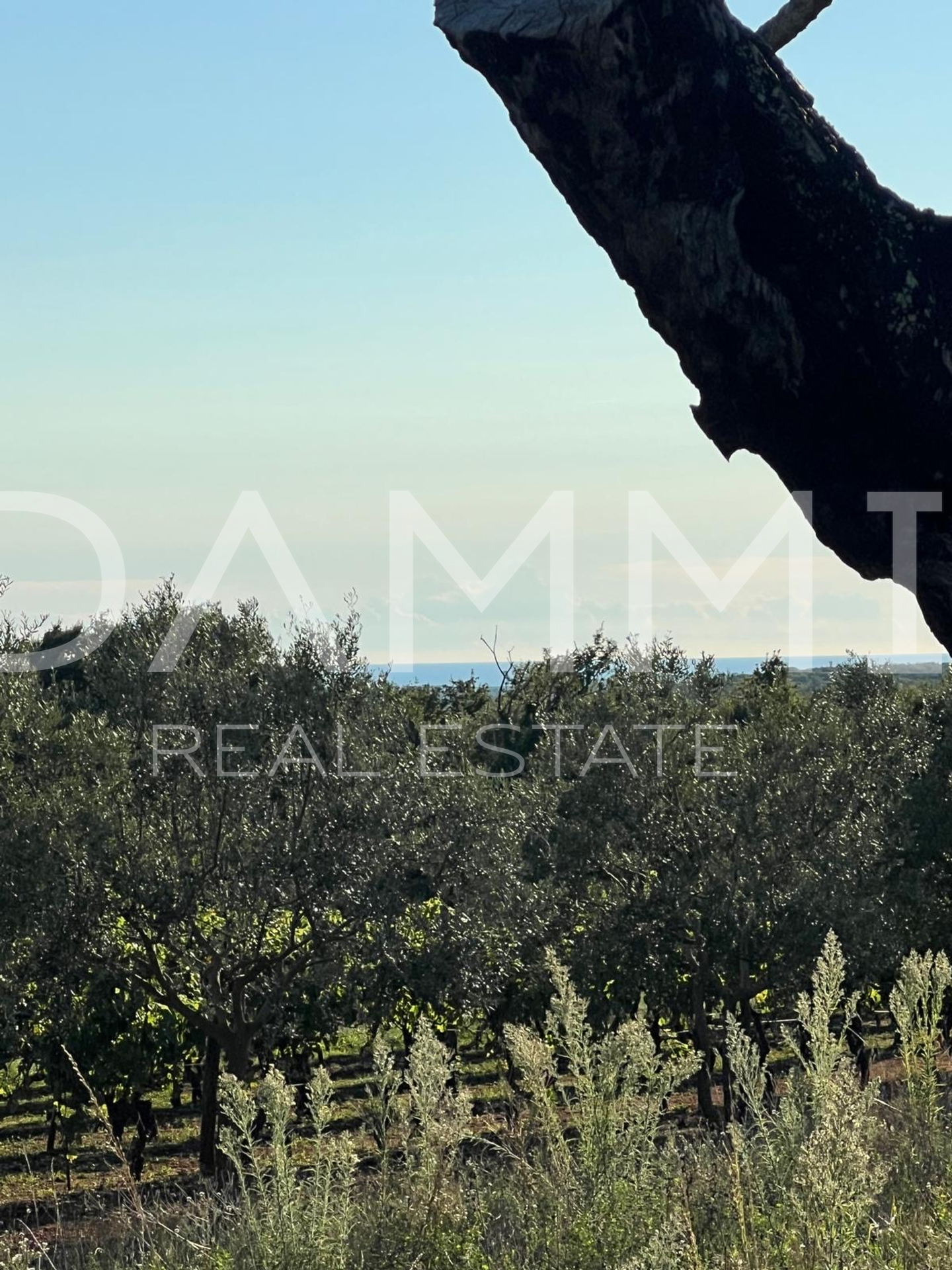 ISTRIA, ŽMINJ - Secluded building land 1255 m2