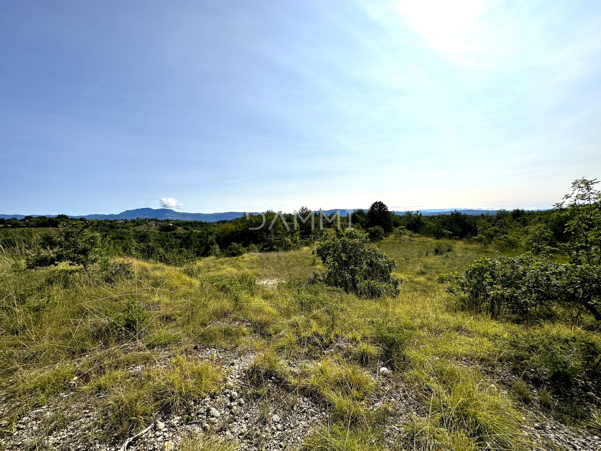 ZENTRALISTRIEN - Ackerland 50.860 m2 mit Panoramablick