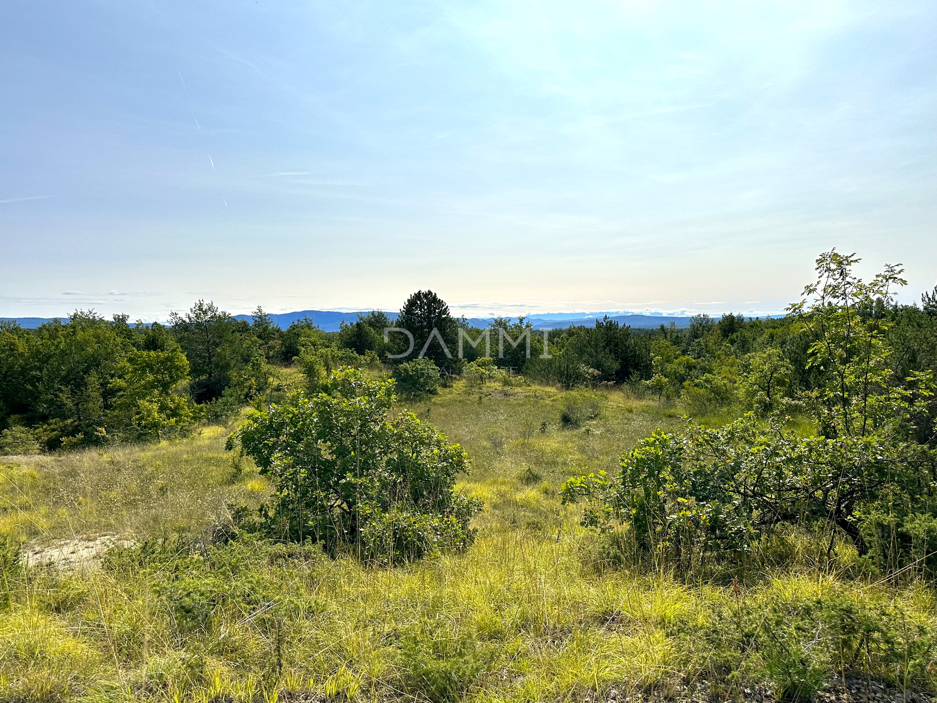 ZENTRALISTRIEN - Ackerland 50.860 m2 mit Panoramablick