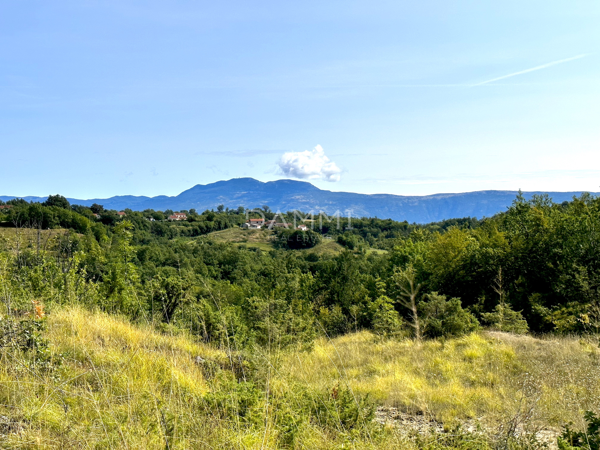 ZENTRALISTRIEN - Ackerland 50.860 m2 mit Panoramablick