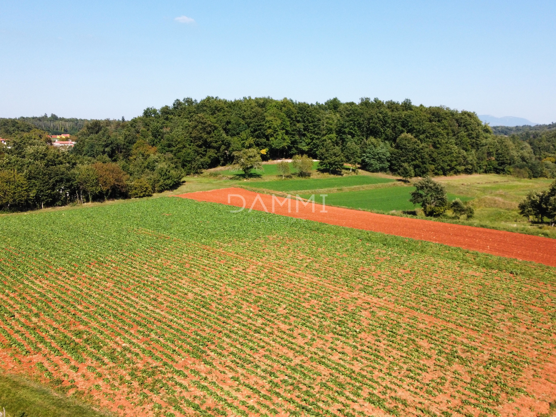 ZENTRALISTRIEN – Ein einzigartiger Komplex landwirtschaftlicher Bauflächen