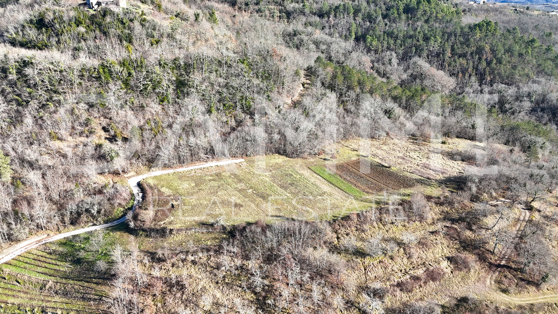 ISTRA, MOTOVUN - Građevinsko zemljište na osami s pogledom na Motovun