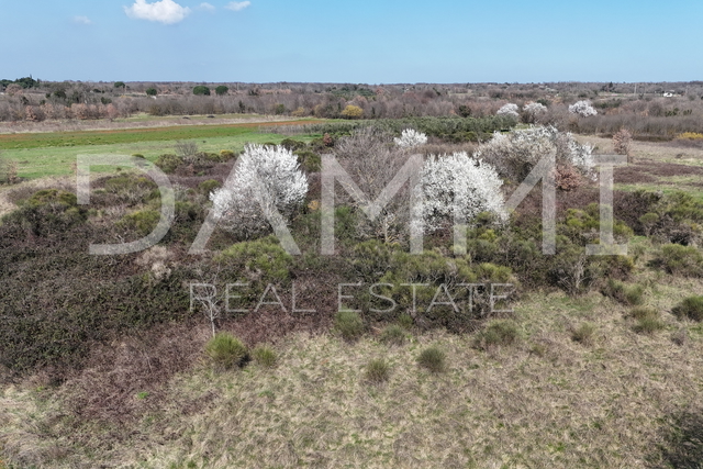 Istra, Marčana - terreno edificabile in zona industriale