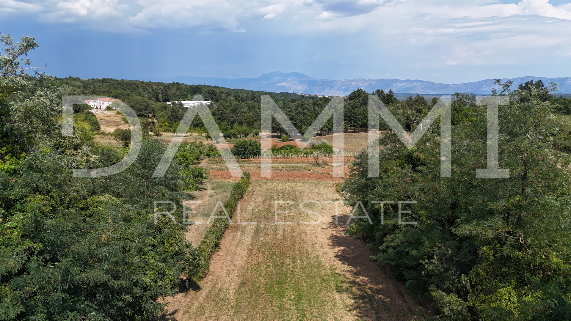 Istria&comma; Sutivanac&comma; terreno edificabile&comma; bella posizione