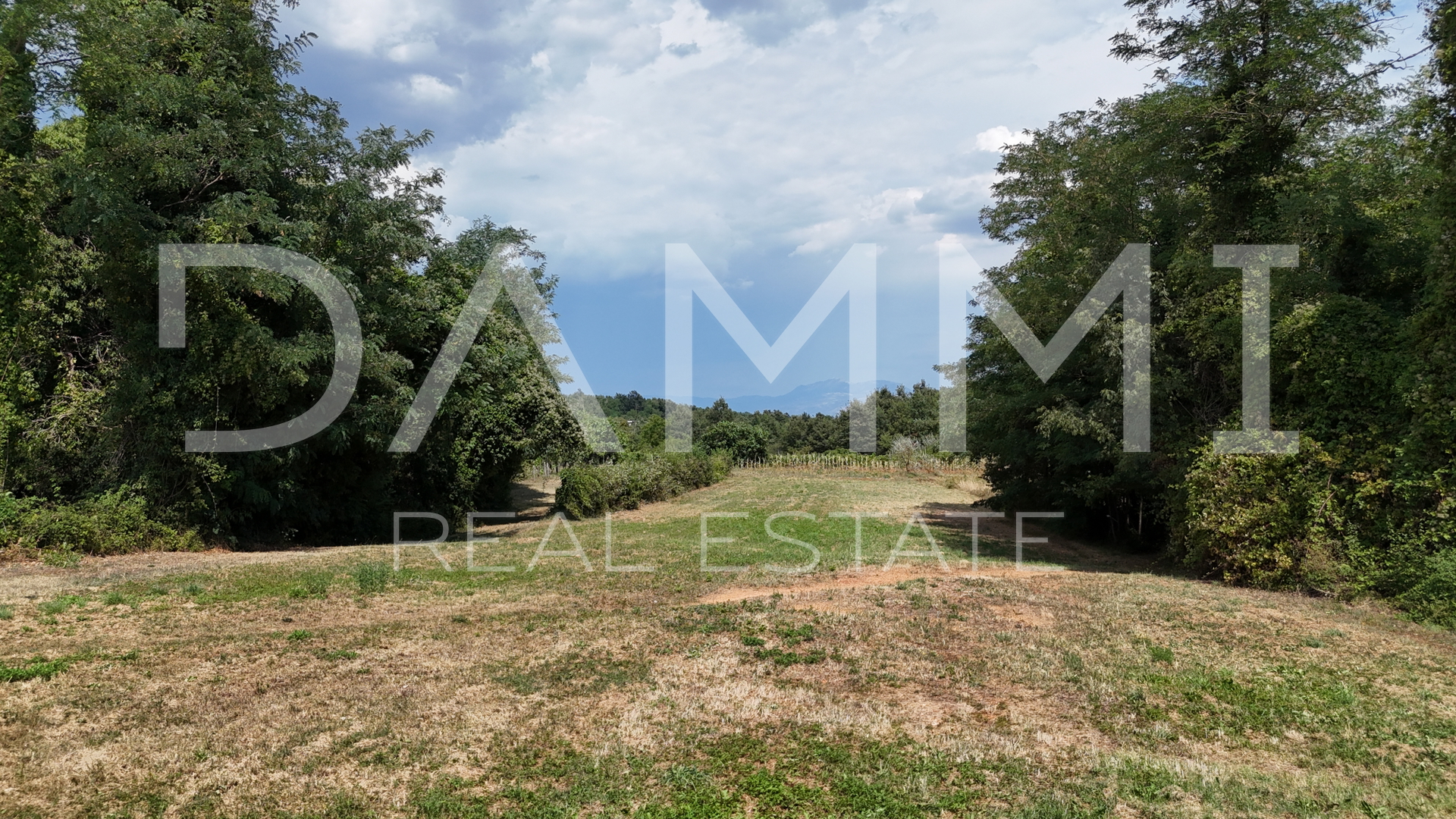 Istria&comma; Sutivanac&comma; terreno edificabile&comma; bella posizione