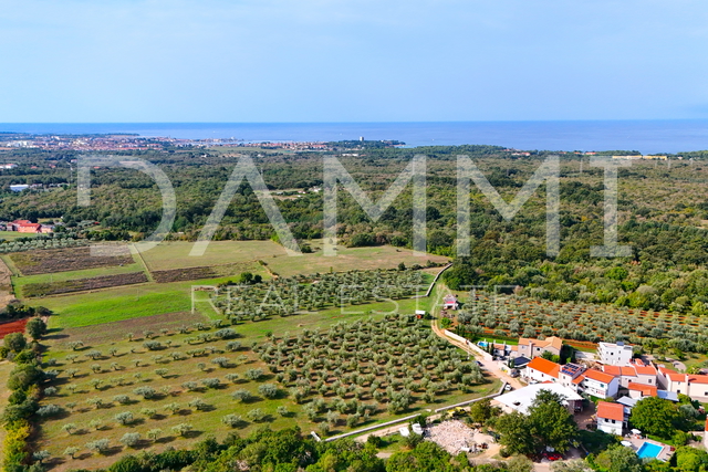 ISTRA, UMAG - Građevinsko zemljište 3 km od mora