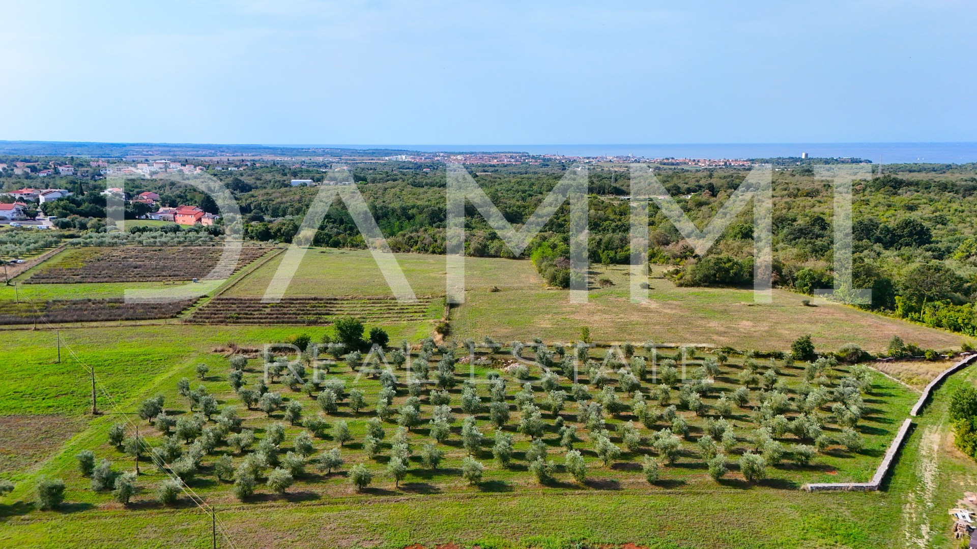 ISTRA, UMAG - Poljoprivredno zemljište maslinik 10.000 m2