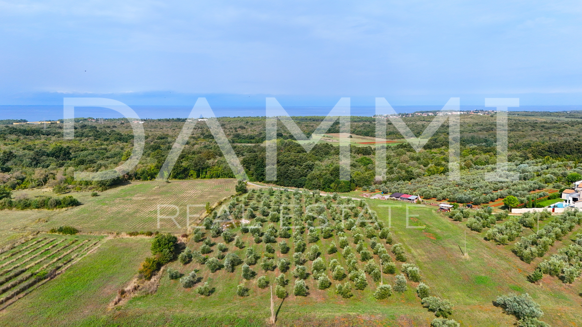 ISTRA, UMAG - Poljoprivredno zemljište maslinik 10.000 m2