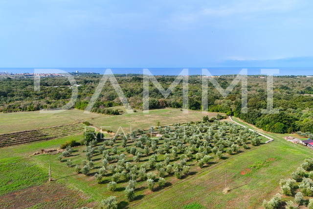 Land, 10290 m2, For Sale, Umag