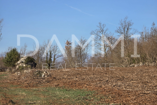 Land, 10361 m2, For Sale, Svetvinčenat - Režanci